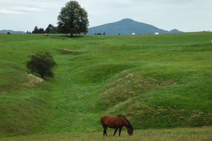 Loupežnický hrad - na vrcholku